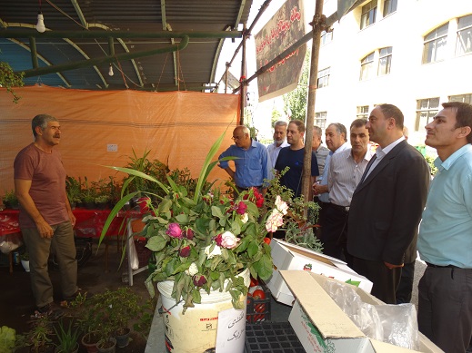 بازدید مدیرکل امور عشایر استان از نمایشگاه توانمندی های بخش کشاورزی